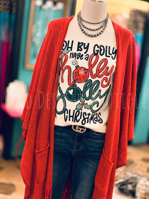 Holly Jolly Christmas Graphic Tee 50% OFF