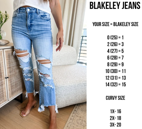 Blakeley Urban Distressed Crop Jean